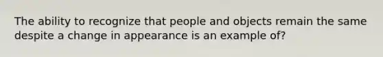 The ability to recognize that people and objects remain the same despite a change in appearance is an example of?