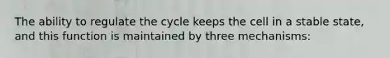 The ability to regulate the cycle keeps the cell in a stable state, and this function is maintained by three mechanisms: