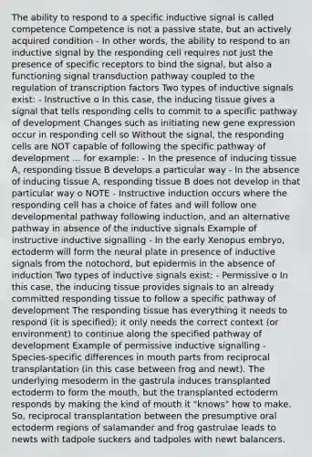 The ability to respond to a specific inductive signal is called competence Competence is not a passive state, but an actively acquired condition - In other words, the ability to respond to an inductive signal by the responding cell requires not just the presence of specific receptors to bind the signal, but also a functioning signal transduction pathway coupled to the regulation of transcription factors Two types of inductive signals exist: - Instructive o In this case, the inducing tissue gives a signal that tells responding cells to commit to a specific pathway of development Changes such as initiating new gene expression occur in responding cell so Without the signal, the responding cells are NOT capable of following the specific pathway of development ... for example: - In the presence of inducing tissue A, responding tissue B develops a particular way - In the absence of inducing tissue A, responding tissue B does not develop in that particular way o NOTE - Instructive induction occurs where the responding cell has a choice of fates and will follow one developmental pathway following induction, and an alternative pathway in absence of the inductive signals Example of instructive inductive signalling - In the early Xenopus embryo, ectoderm will form the neural plate in presence of inductive signals from the notochord, but epidermis in the absence of induction Two types of inductive signals exist: - Permissive o In this case, the inducing tissue provides signals to an already committed responding tissue to follow a specific pathway of development The responding tissue has everything it needs to respond (it is specified); it only needs the correct context (or environment) to continue along the specified pathway of development Example of permissive inductive signalling - Species-specific differences in mouth parts from reciprocal transplantation (in this case between frog and newt). The underlying mesoderm in the gastrula induces transplanted ectoderm to form the mouth, but the transplanted ectoderm responds by making the kind of mouth it "knows" how to make. So, reciprocal transplantation between the presumptive oral ectoderm regions of salamander and frog gastrulae leads to newts with tadpole suckers and tadpoles with newt balancers.