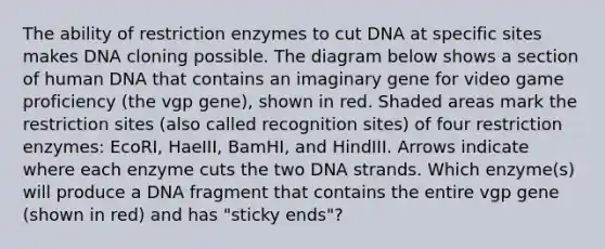The ability of restriction enzymes to cut DNA at specific sites makes DNA cloning possible. The diagram below shows a section of human DNA that contains an imaginary gene for video game proficiency (the vgp gene), shown in red. Shaded areas mark the restriction sites (also called recognition sites) of four restriction enzymes: EcoRI, HaeIII, BamHI, and HindIII. Arrows indicate where each enzyme cuts the two DNA strands. Which enzyme(s) will produce a DNA fragment that contains the entire vgp gene (shown in red) and has "sticky ends"?