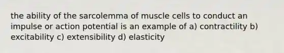 the ability of the sarcolemma of muscle cells to conduct an impulse or action potential is an example of a) contractility b) excitability c) extensibility d) elasticity