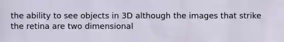 the ability to see objects in 3D although the images that strike the retina are two dimensional