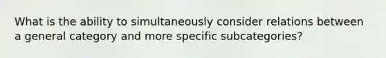 What is the ability to simultaneously consider relations between a general category and more specific subcategories?