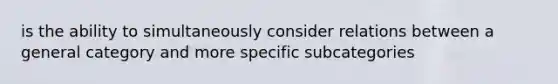 is the ability to simultaneously consider relations between a general category and more specific subcategories