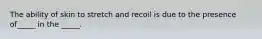 The ability of skin to stretch and recoil is due to the presence of_____ in the _____.