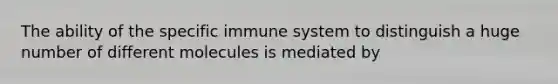 The ability of the specific immune system to distinguish a huge number of different molecules is mediated by