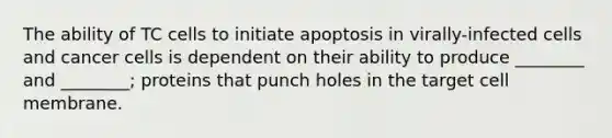 The ability of TC cells to initiate apoptosis in virally-infected cells and cancer cells is dependent on their ability to produce ________ and ________; proteins that punch holes in the target cell membrane.