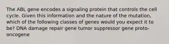 The ABL gene encodes a signaling protein that controls the cell cycle. Given this information and the nature of the mutation, which of the following classes of genes would you expect it to be? DNA damage repair gene tumor suppressor gene proto-oncogene