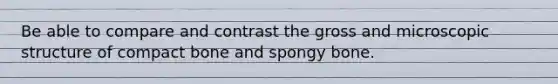 Be able to compare and contrast the gross and microscopic structure of compact bone and spongy bone.