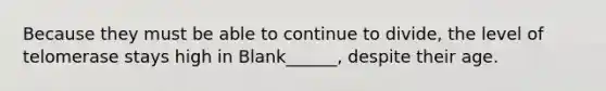 Because they must be able to continue to divide, the level of telomerase stays high in Blank______, despite their age.