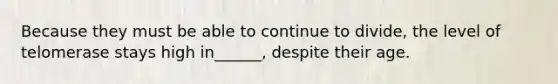 Because they must be able to continue to divide, the level of telomerase stays high in______, despite their age.