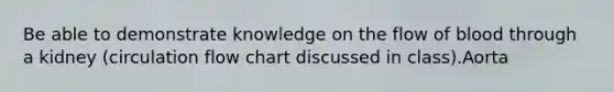 Be able to demonstrate knowledge on the flow of blood through a kidney (circulation flow chart discussed in class).Aorta