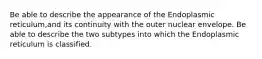Be able to describe the appearance of the Endoplasmic reticulum,and its continuity with the outer nuclear envelope. Be able to describe the two subtypes into which the Endoplasmic reticulum is classified.