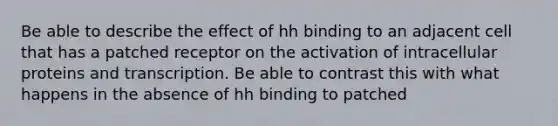 Be able to describe the effect of hh binding to an adjacent cell that has a patched receptor on the activation of intracellular proteins and transcription. Be able to contrast this with what happens in the absence of hh binding to patched