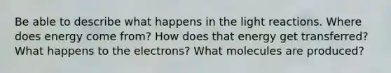 Be able to describe what happens in the light reactions. Where does energy come from? How does that energy get transferred? What happens to the electrons? What molecules are produced?