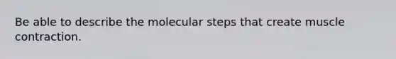 Be able to describe the molecular steps that create muscle contraction.