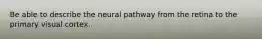 Be able to describe the neural pathway from the retina to the primary visual cortex.