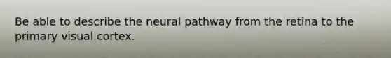 Be able to describe the neural pathway from the retina to the primary visual cortex.