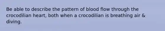 Be able to describe the pattern of blood flow through the crocodilian heart, both when a crocodilian is breathing air & diving.