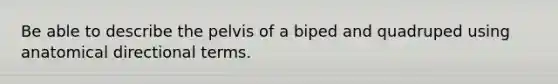 Be able to describe the pelvis of a biped and quadruped using anatomical directional terms.