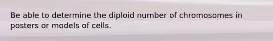 Be able to determine the diploid number of chromosomes in posters or models of cells.