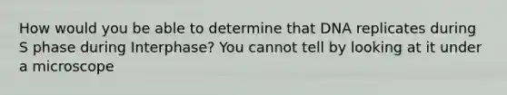 How would you be able to determine that DNA replicates during S phase during Interphase? You cannot tell by looking at it under a microscope