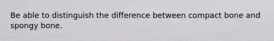 Be able to distinguish the difference between compact bone and spongy bone.