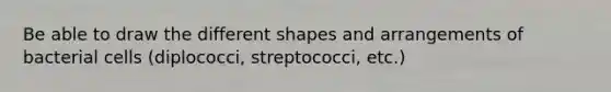 Be able to draw the different shapes and arrangements of bacterial cells (diplococci, streptococci, etc.)