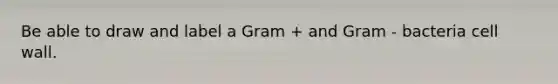 Be able to draw and label a Gram + and Gram - bacteria cell wall.