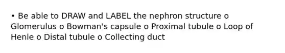 • Be able to DRAW and LABEL the nephron structure o Glomerulus o Bowman's capsule o Proximal tubule o Loop of Henle o Distal tubule o Collecting duct