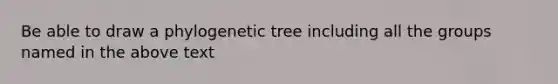 Be able to draw a phylogenetic tree including all the groups named in the above text