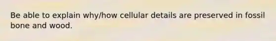 Be able to explain why/how cellular details are preserved in fossil bone and wood.