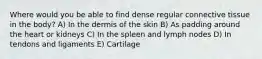 Where would you be able to find dense regular connective tissue in the body? A) In the dermis of the skin B) As padding around the heart or kidneys C) In the spleen and lymph nodes D) In tendons and ligaments E) Cartilage