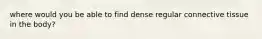 where would you be able to find dense regular connective tissue in the body?