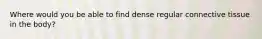 Where would you be able to find dense regular connective tissue in the body?