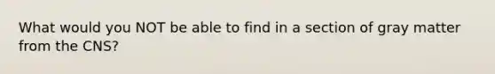 What would you NOT be able to find in a section of gray matter from the CNS?