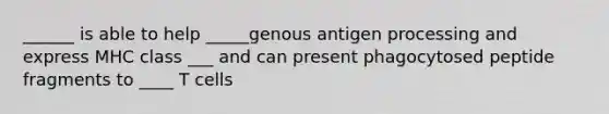 ______ is able to help _____genous antigen processing and express MHC class ___ and can present phagocytosed peptide fragments to ____ T cells