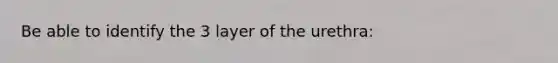 Be able to identify the 3 layer of the urethra: