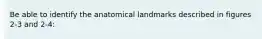 Be able to identify the anatomical landmarks described in figures 2-3 and 2-4: