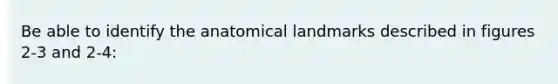 Be able to identify the anatomical landmarks described in figures 2-3 and 2-4: