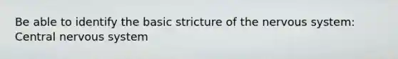 Be able to identify the basic stricture of the nervous system: Central nervous system