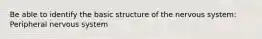 Be able to identify the basic structure of the nervous system: Peripheral nervous system