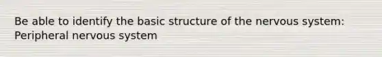 Be able to identify the basic structure of the nervous system: Peripheral nervous system