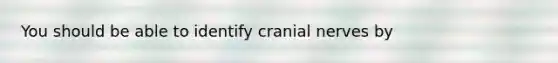 You should be able to identify cranial nerves by