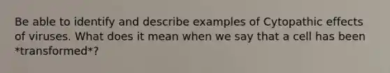 Be able to identify and describe examples of Cytopathic effects of viruses. What does it mean when we say that a cell has been *transformed*?
