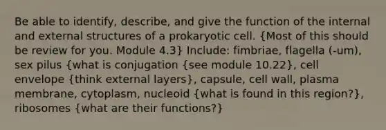 Be able to identify, describe, and give the function of the internal and external structures of a prokaryotic cell. (Most of this should be review for you. Module 4.3) Include: fimbriae, flagella (-um), sex pilus (what is conjugation {see module 10.22), cell envelope (think external layers), capsule, cell wall, plasma membrane, cytoplasm, nucleoid (what is found in this region?), ribosomes (what are their functions?)