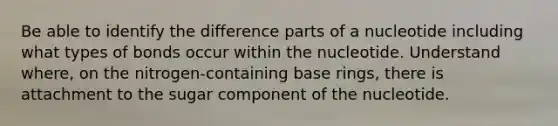 Be able to identify the difference parts of a nucleotide including what types of bonds occur within the nucleotide. Understand where, on the nitrogen-containing base rings, there is attachment to the sugar component of the nucleotide.