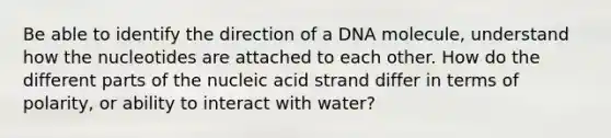 Be able to identify the direction of a DNA molecule, understand how the nucleotides are attached to each other. How do the different parts of the nucleic acid strand differ in terms of polarity, or ability to interact with water?