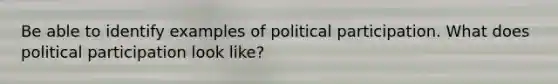 Be able to identify examples of political participation. What does political participation look like?