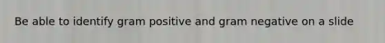 Be able to identify gram positive and gram negative on a slide